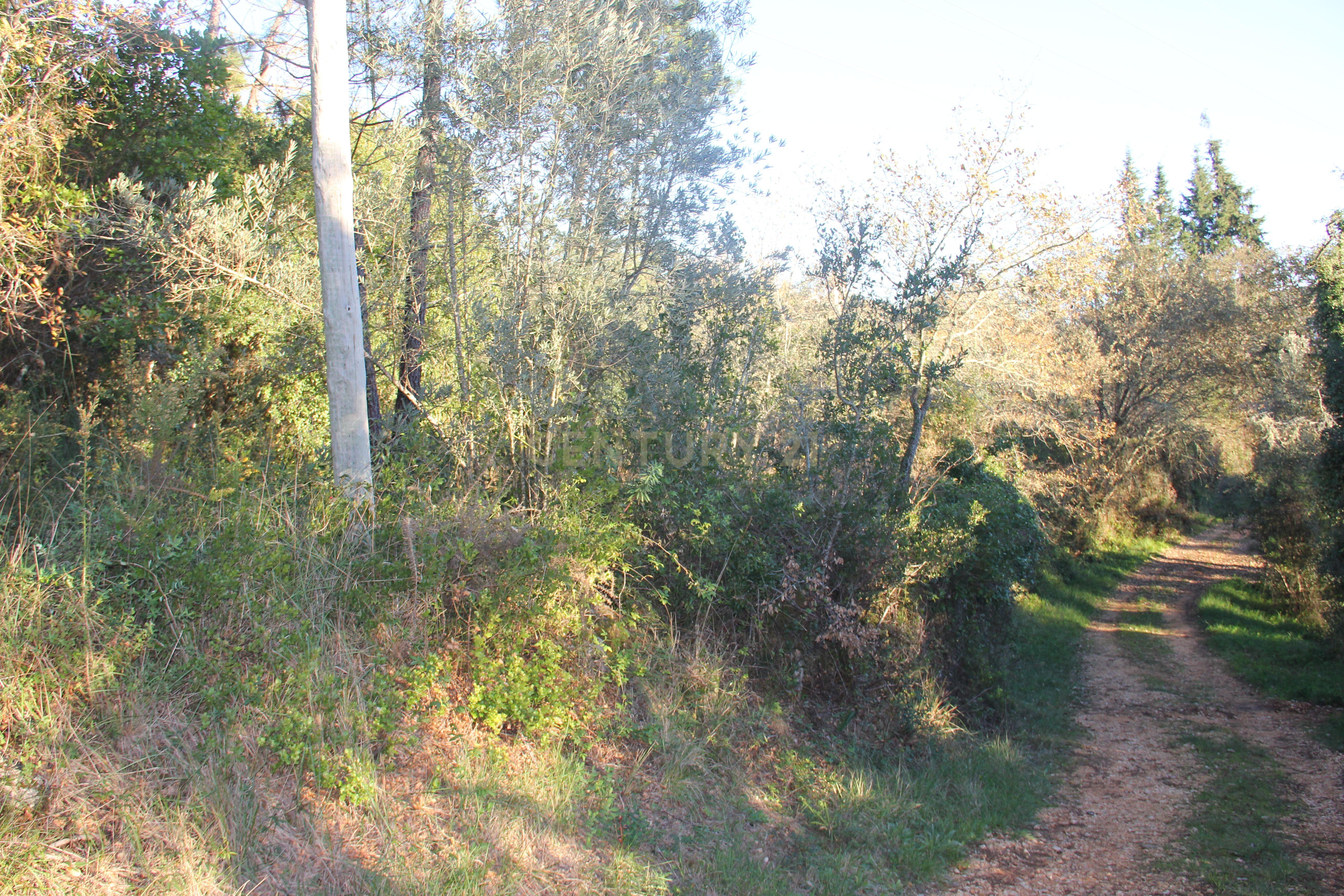 Fantástico terreno para moradia - Image 8