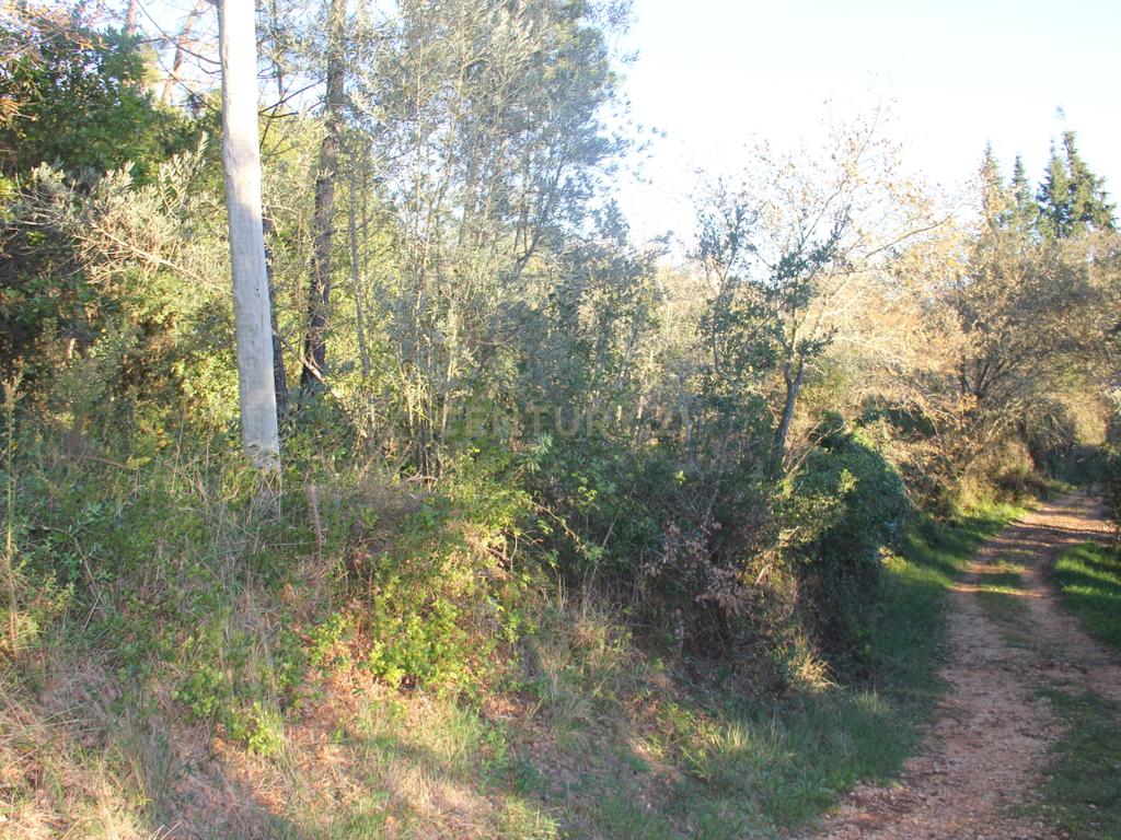 Fantástico terreno para moradia - Image 8