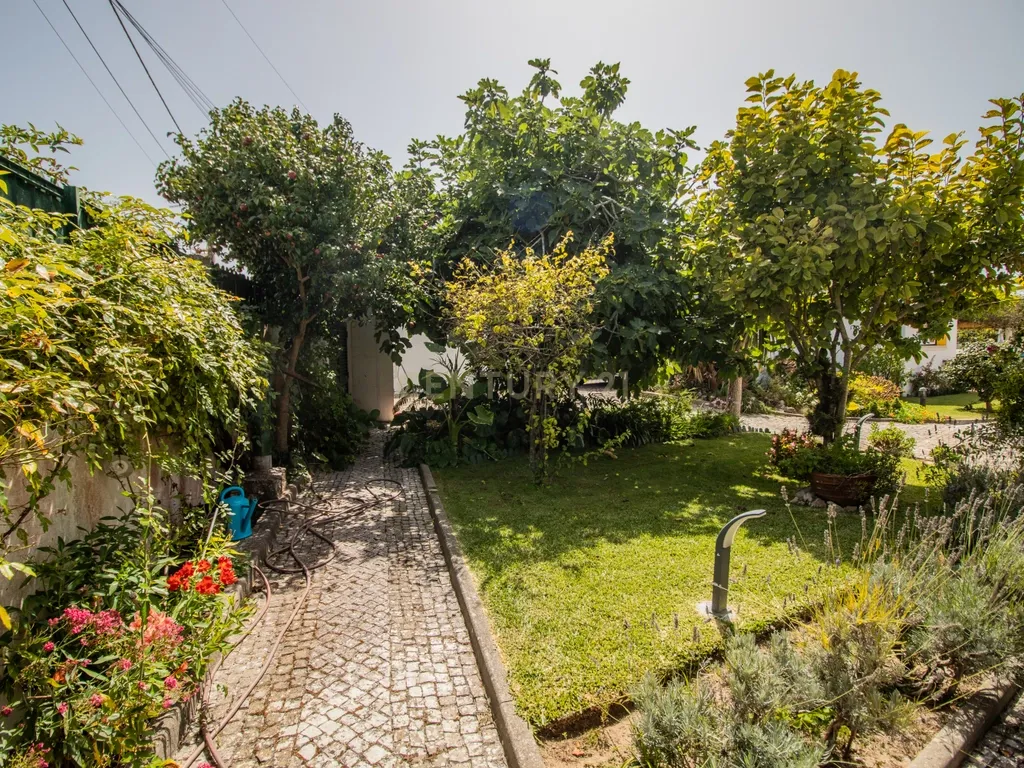 Moradia térrea T3+T0 com piscina, garagem e terreno com 2.257 m², no Ervedal, em Quiaios - Image 2