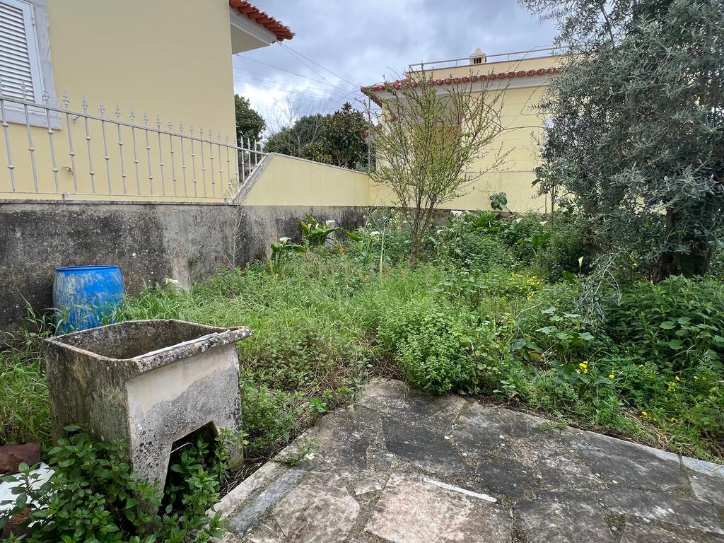 Moradia para remodelar a 1 km da encantadora Ilha do Lombo – Tomar - Image 13