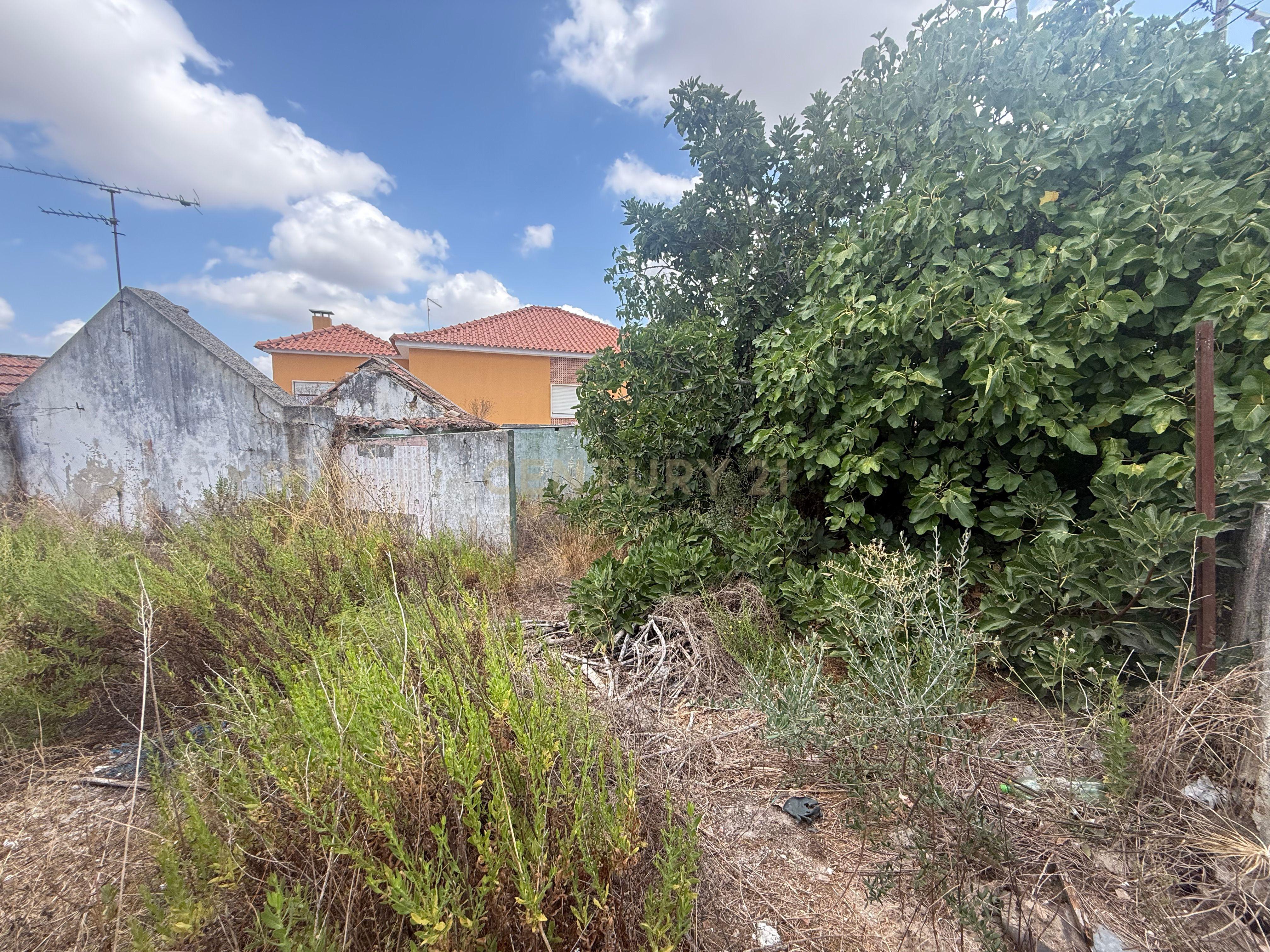 Fotografia 2 de Terreno com ruína em Quinta do Anjo, Palmela - Oportunidade Única