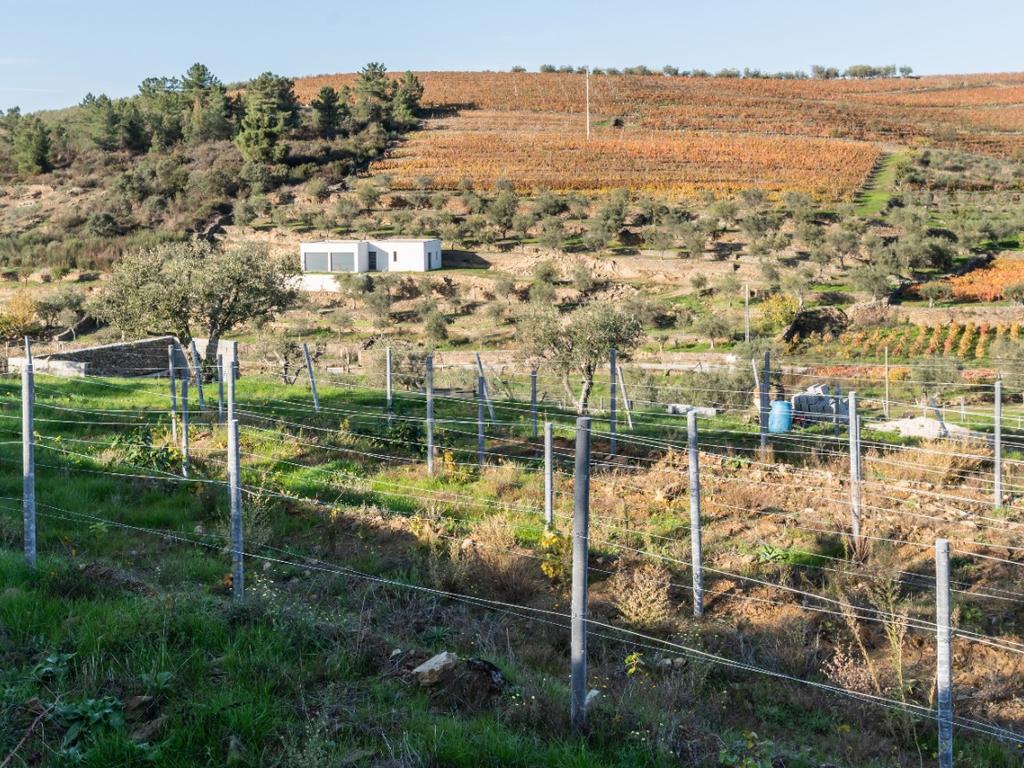 🏡Quinta com Moradia T3 e Vinha no Coração do Alto Douro Vinhateiro – Património Mundial da UNESCO - Image 73