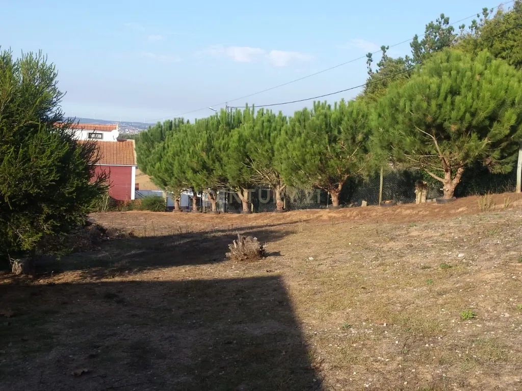 Terreno para construção c/ anexo - Lourinhã - Image 5