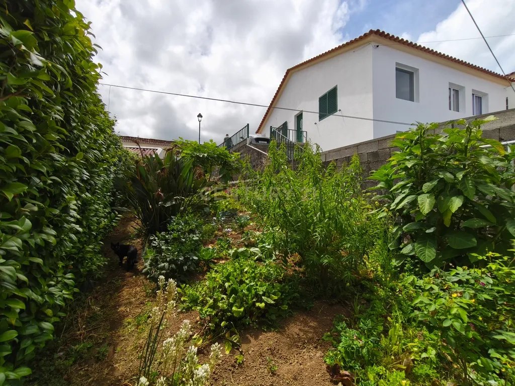 Moradia de Assinatura no Concelho do Nordeste – Exclusividade, Luz e Vistas - Image 62