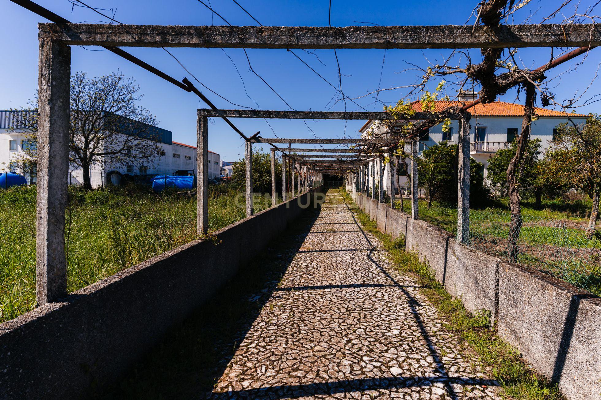Propriedade com 11 divisões para recuperação em Estremoz com uma área total de 6185 m2 - Image 4