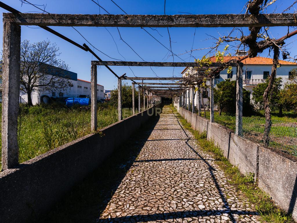 Propriedade com 11 divisões para recuperação em Estremoz com uma área total de 6185 m2 - Image 4