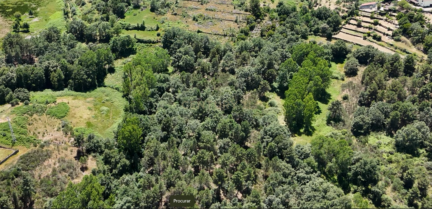Fotografia 7 de Terreno de 12 hectares, perto da Estrada N2, a 5km da cidade de Chaves