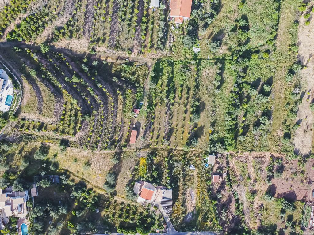 Quinta para venda com vista para Castelo de Silves - Image 32