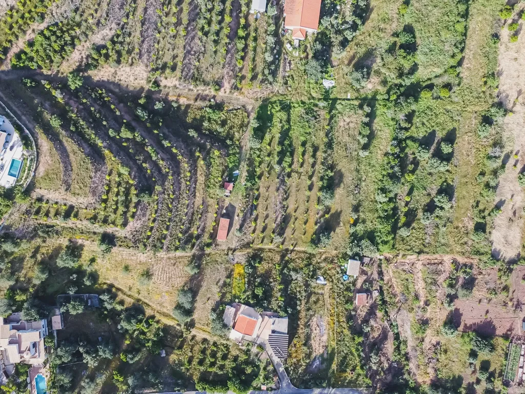 Quinta para venda com vista para Castelo de Silves - Image 32