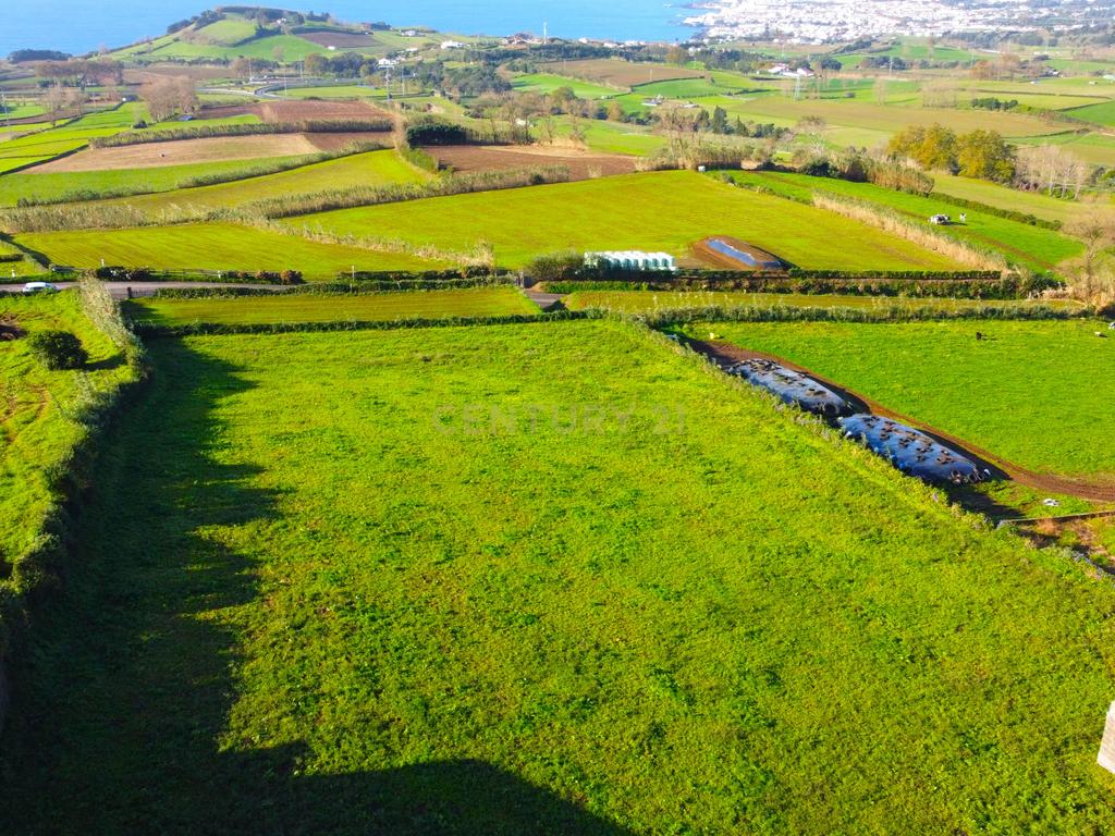Terreno Panorâmico à Venda em Lagoa, Ilha de São Miguel - Image 7