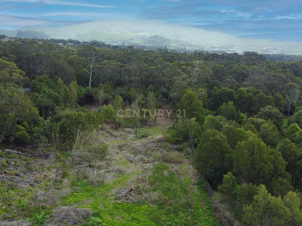 🏡 Terreno à Venda na Canada Nova do Populo - Oportunidade Única em Lagoa – Perto da Praia e da Natureza! 🌿 - Image 10
