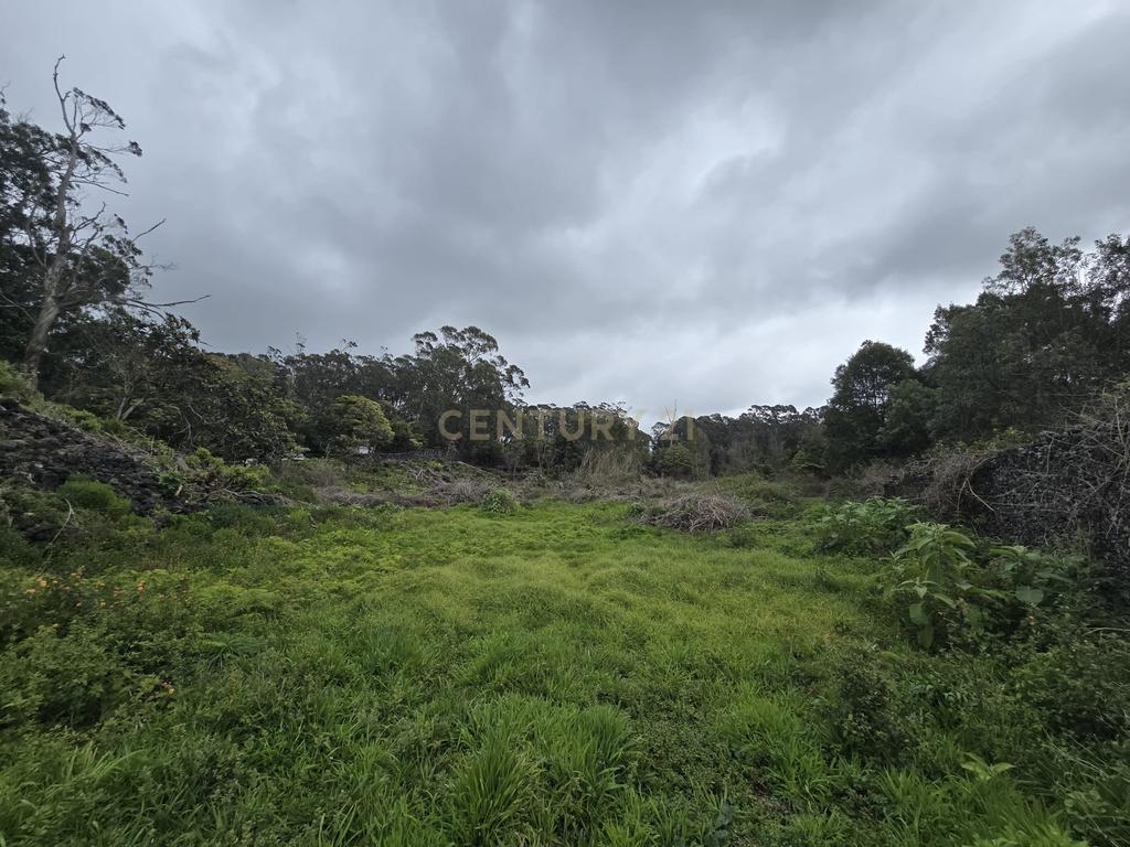 🏡 Terreno à Venda na Canada Nova do Populo - Oportunidade Única em Lagoa – Perto da Praia e da Natureza! 🌿 - Image 9