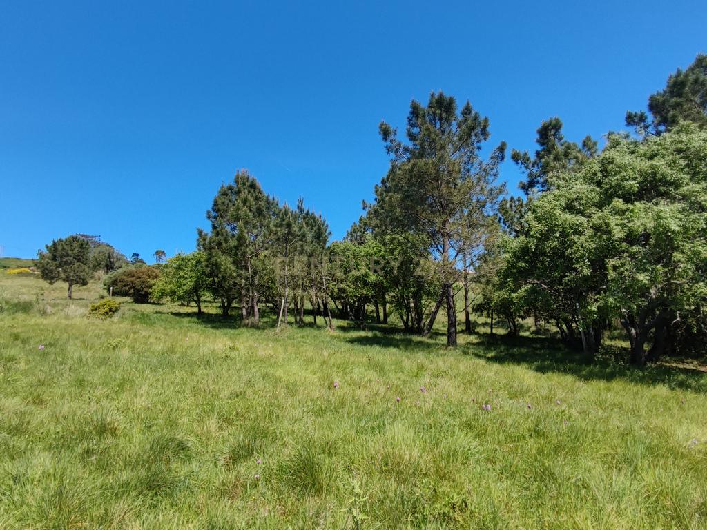 Terreno na Nazaré - Image 15