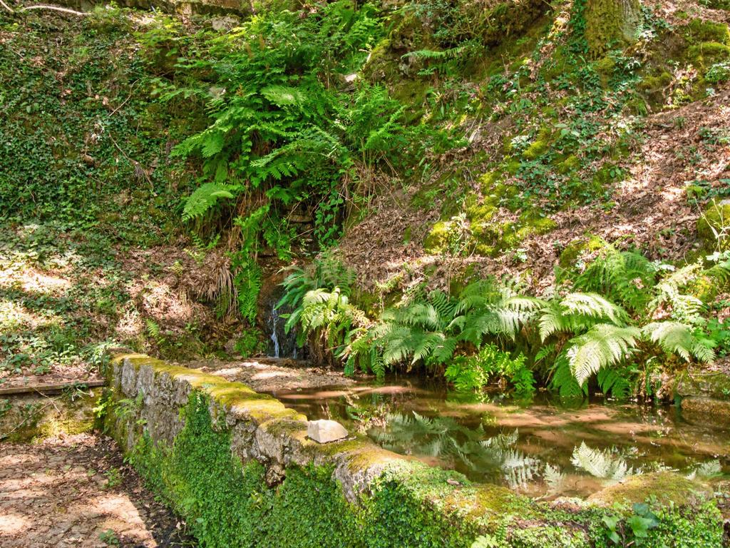Duas Propriedades Únicas no Gerês com Acesso Direto ao Rio e Ancoradouro Privado - Image 45