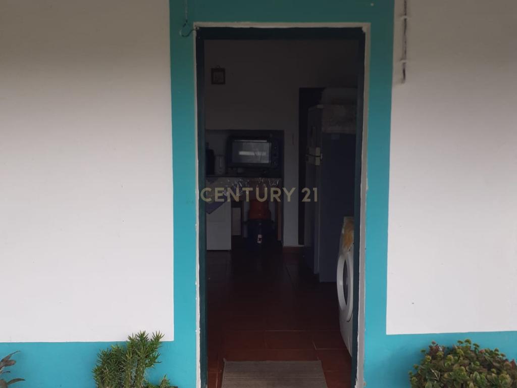 Quinta no Carapetal - Image 39