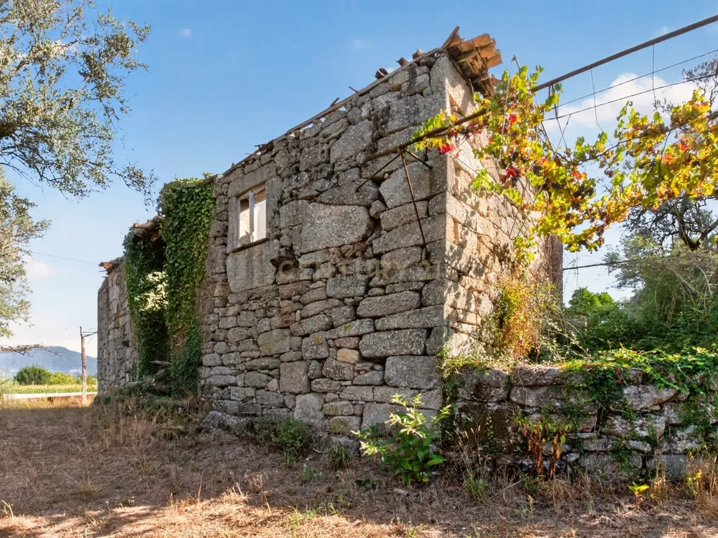 Quinta de Verim – 22.000 m² de história, natureza e potencial - Image 30