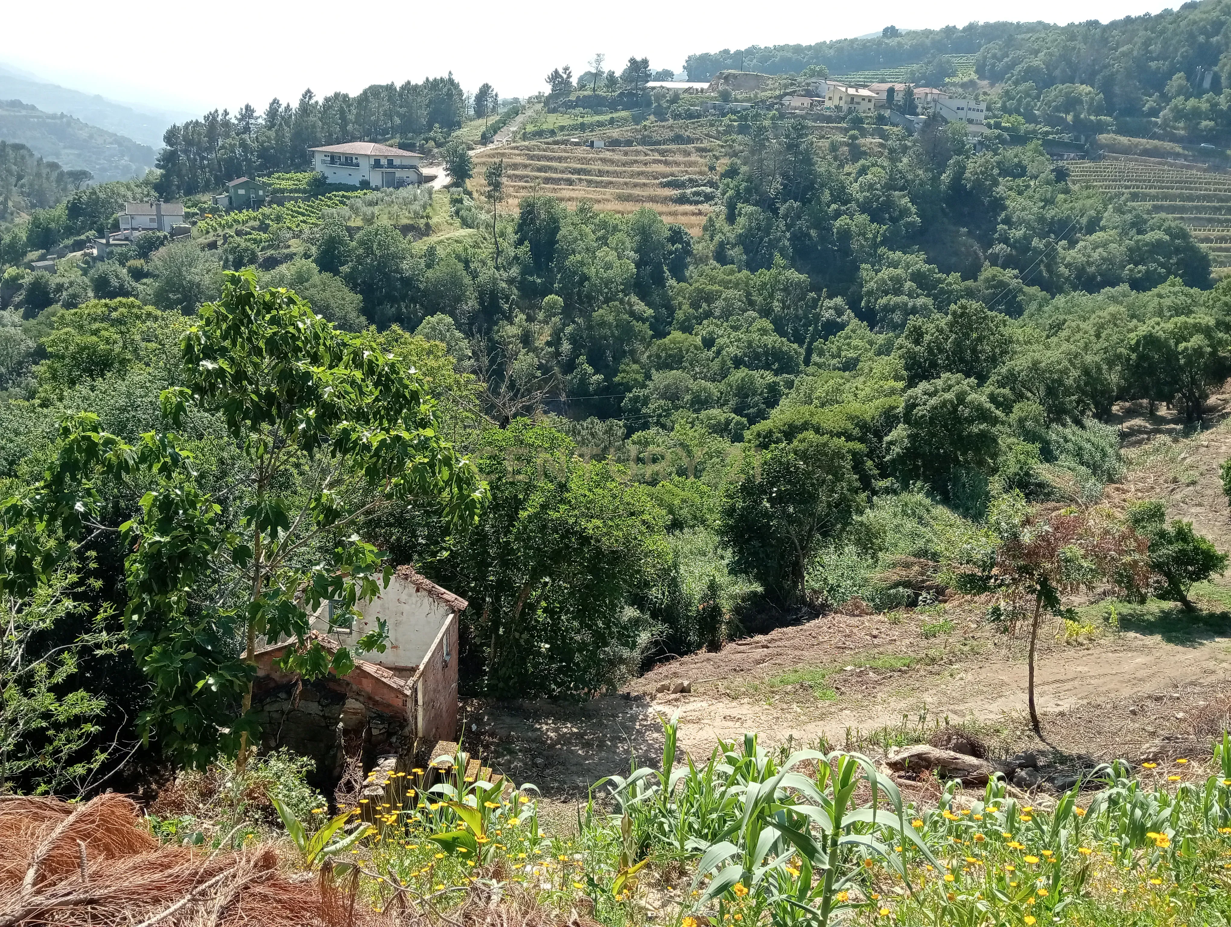 Moradia T2 à venda em Frende, Baião — foto 22