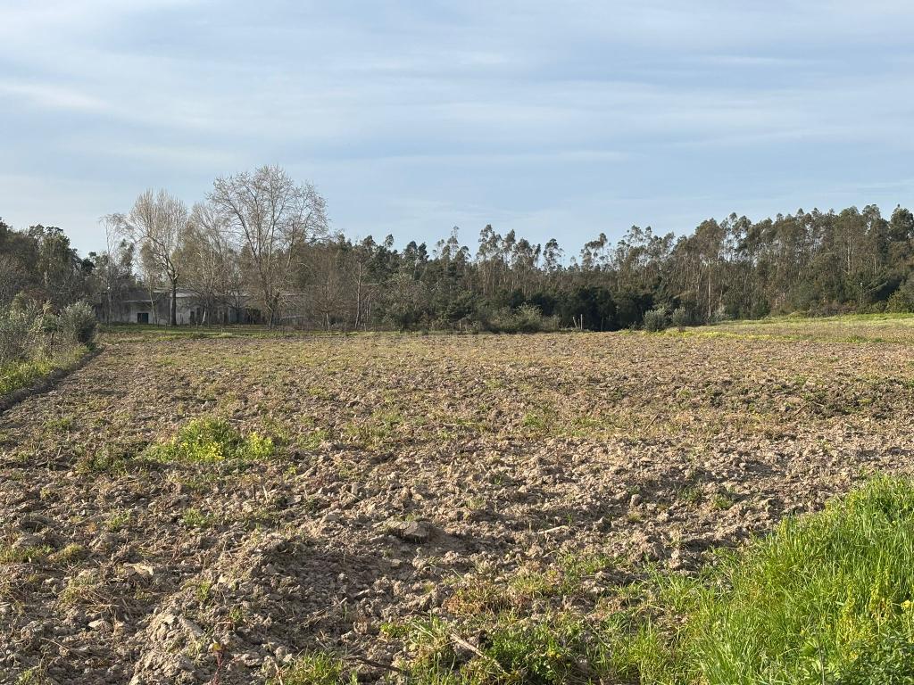 Moradia T3 em Louriçal - Image 21