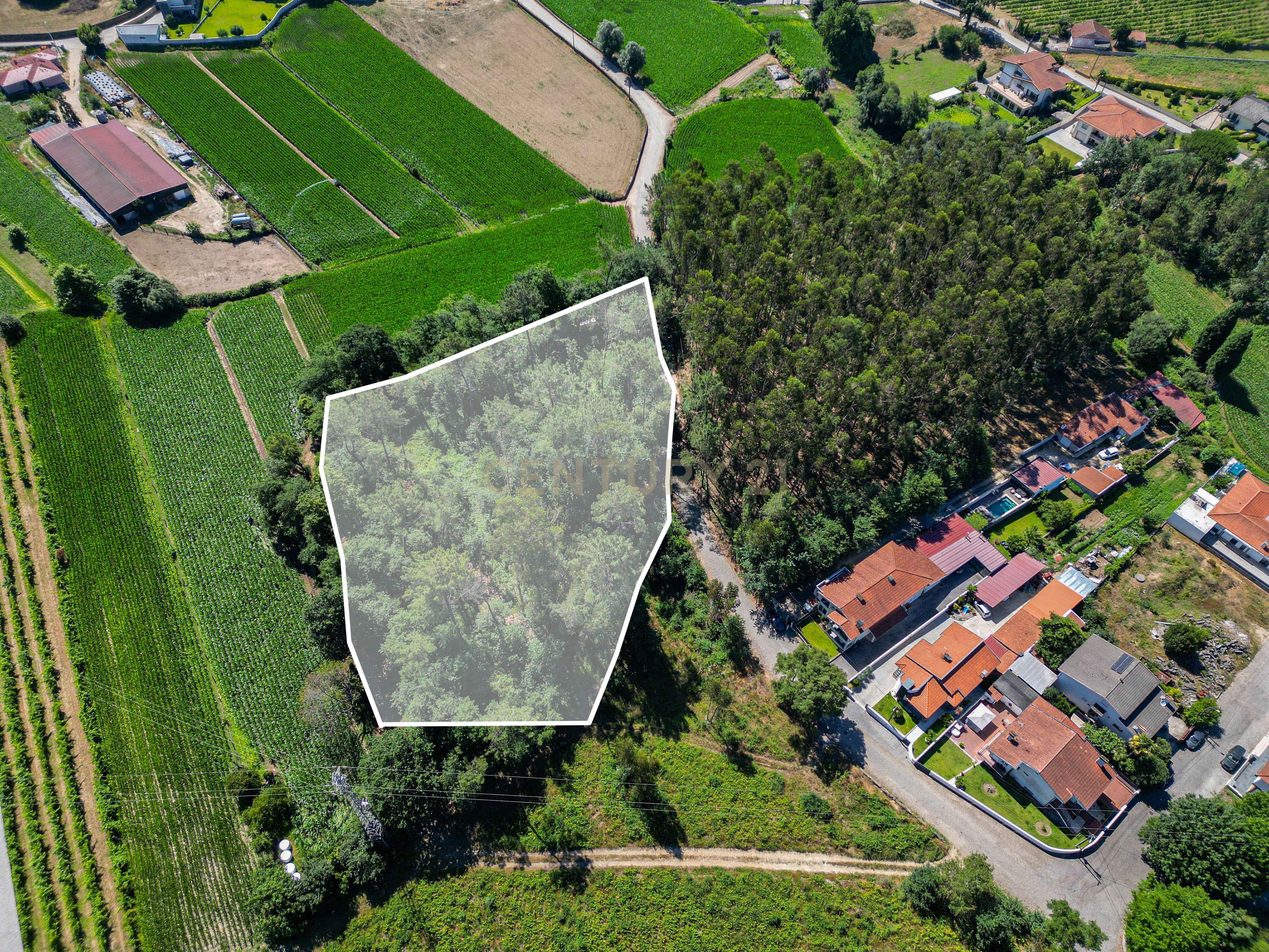 Fotografia 5 de Terreno ER1 com 8.334 m² e 6.600 m² de Construção | Excelente Oportunidade para Promotores