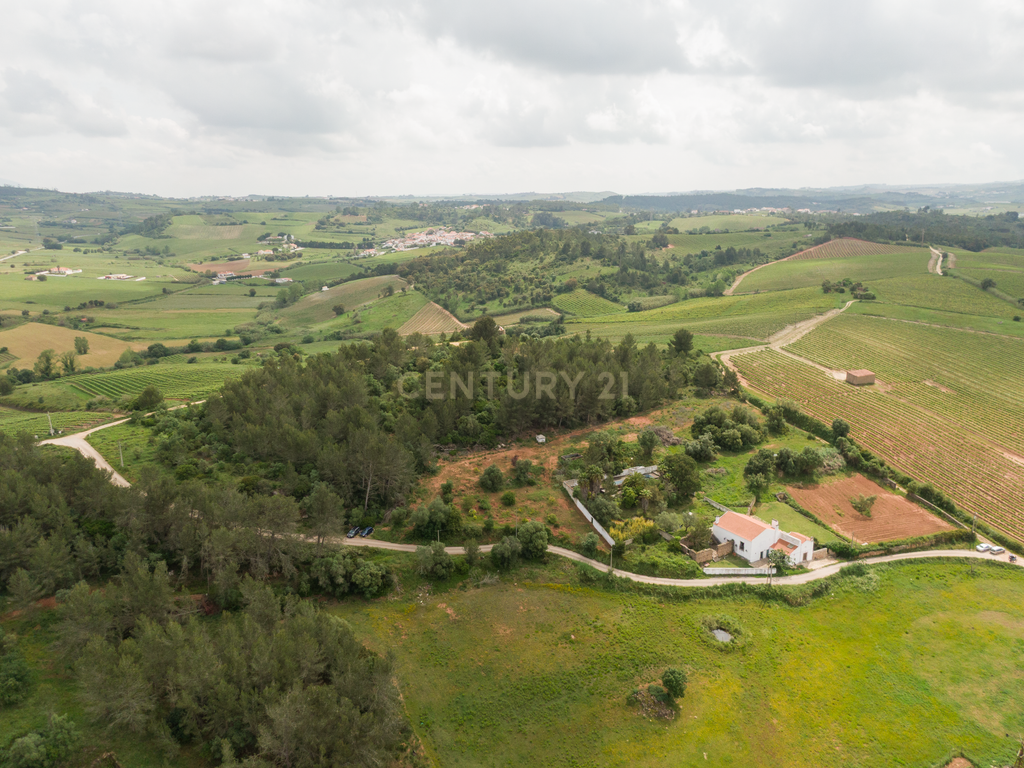 Quinta do Penedo – Runa Torres Vedras - Um Tesouro do Século XVIII com Projeto Turístico Aprovado - Image 43