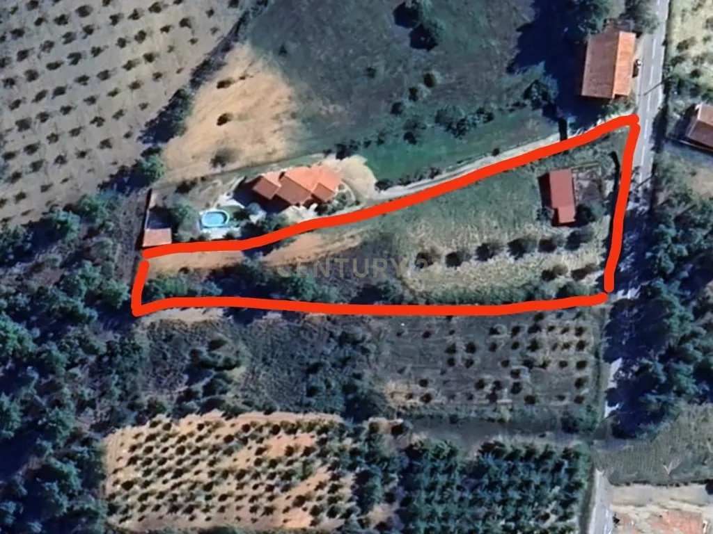 Terreno para Construção em Vale de Gouvinhas - Mirandela - Image 12