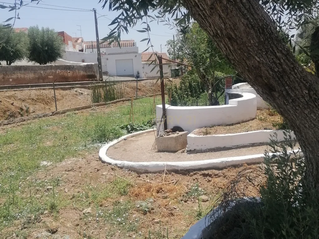 ALBERNOA-BEJA - ALENTEJO- Quinta com 1750 m2. Casa de 229 m2 Cozinha-Sala -3 quartos . Garagem. - Image 34