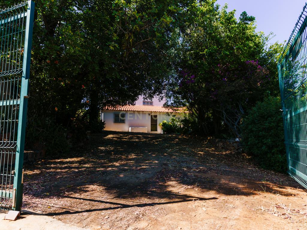Quinta com 8660 m2 com Moradia, piscina e dois terraços panorâmicos em Silves - Image 51