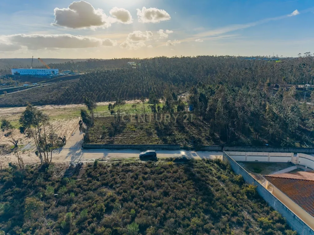 Terreno Rústico com Viabilidade de Construção — Barosa, Leiria - Image 17