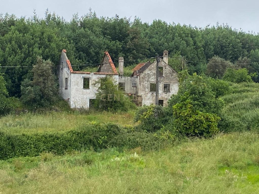 Quinta com Ruína - Oportunidade de Negócio - Image 18