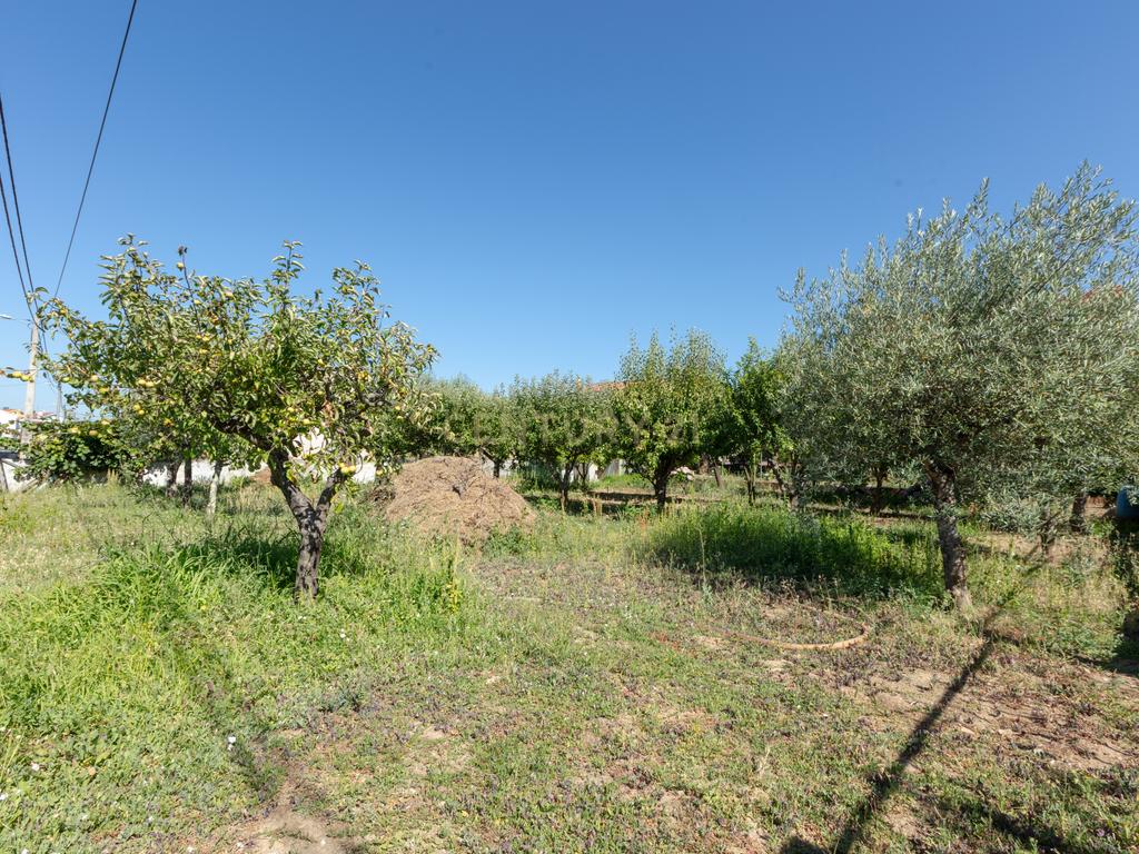 Moradia T4 Isolada com Jardim e Garagem em Olalhas – Tomar - Image 37