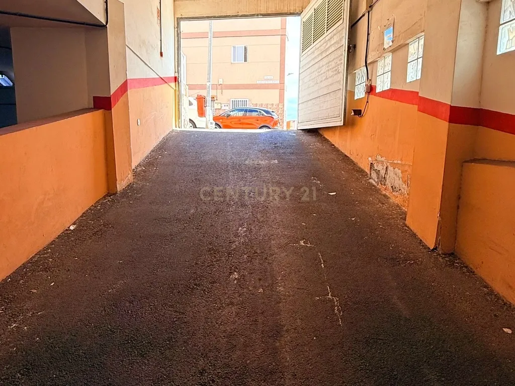 - Image 5