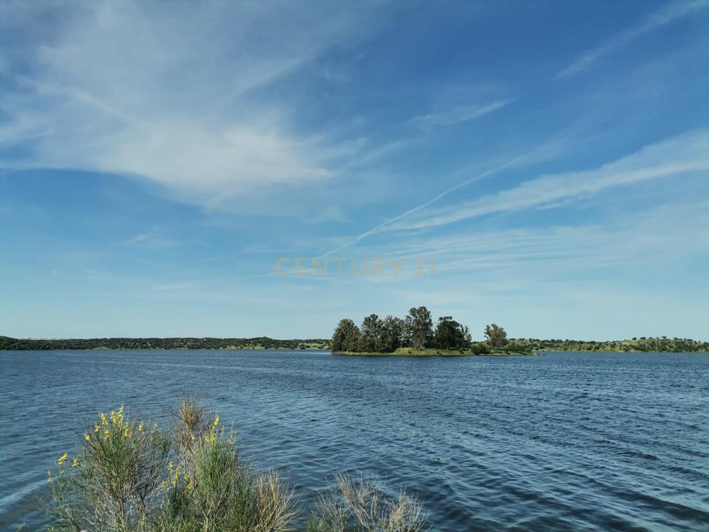 Espetacular Moradia com Piscina e Vinhedo em Campo Maior - Image 18