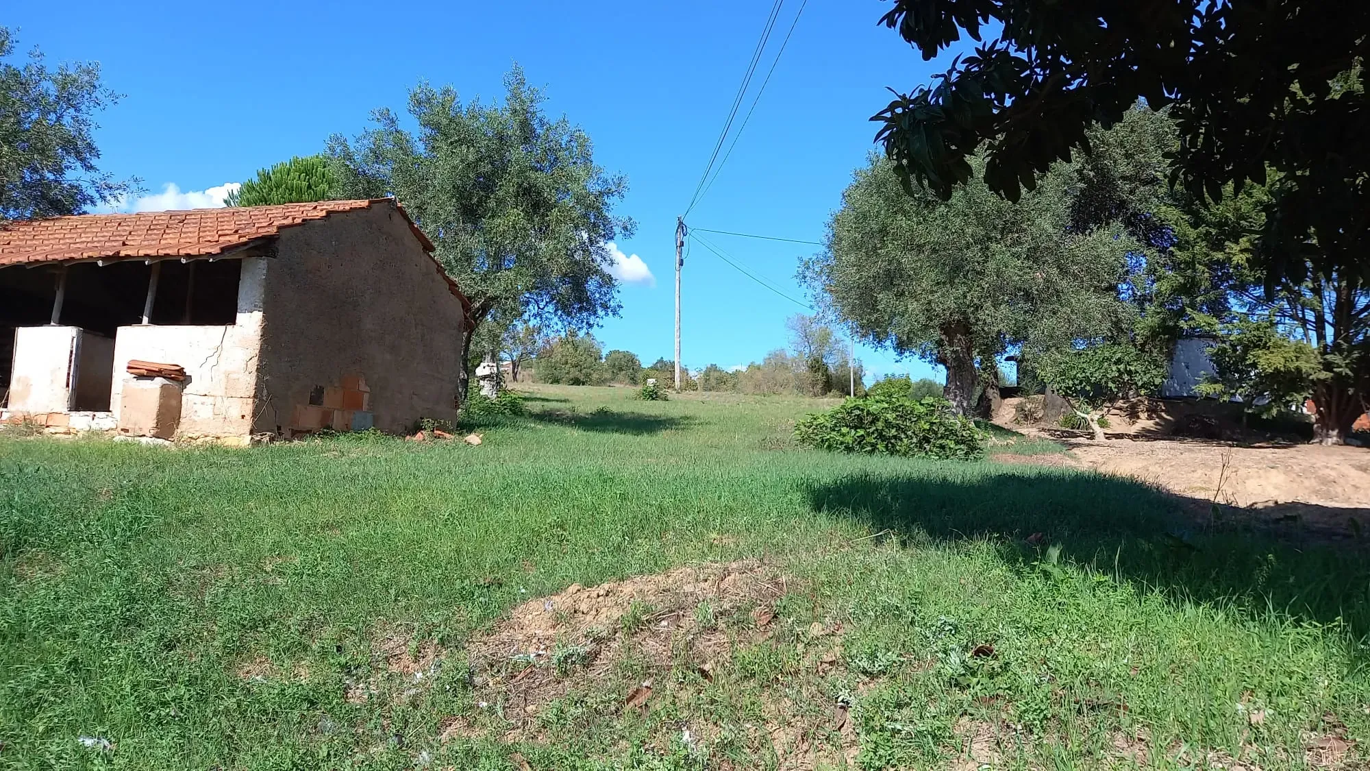Fotografia 6 de Terreno em Madalena e Beselga | Tomar - Local Calmo e Iluminação Natural