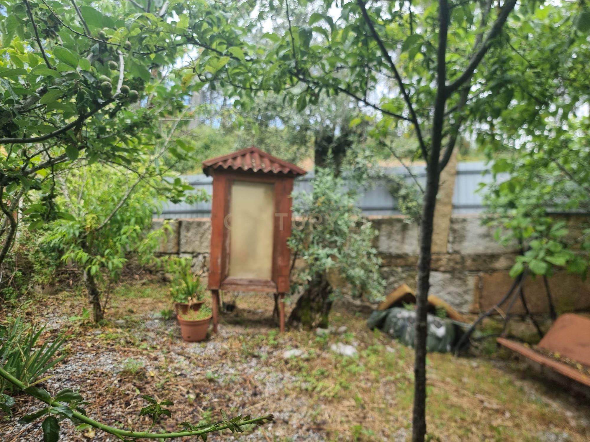 Fotografia 7 de Terreno com casa de madeira proximo do Sátão