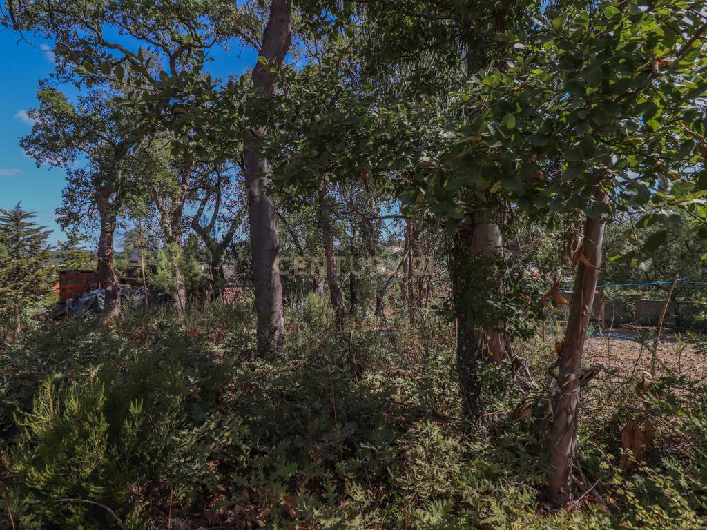 Oficina e anexo para habitação com terreno, em Ansião - Image 33