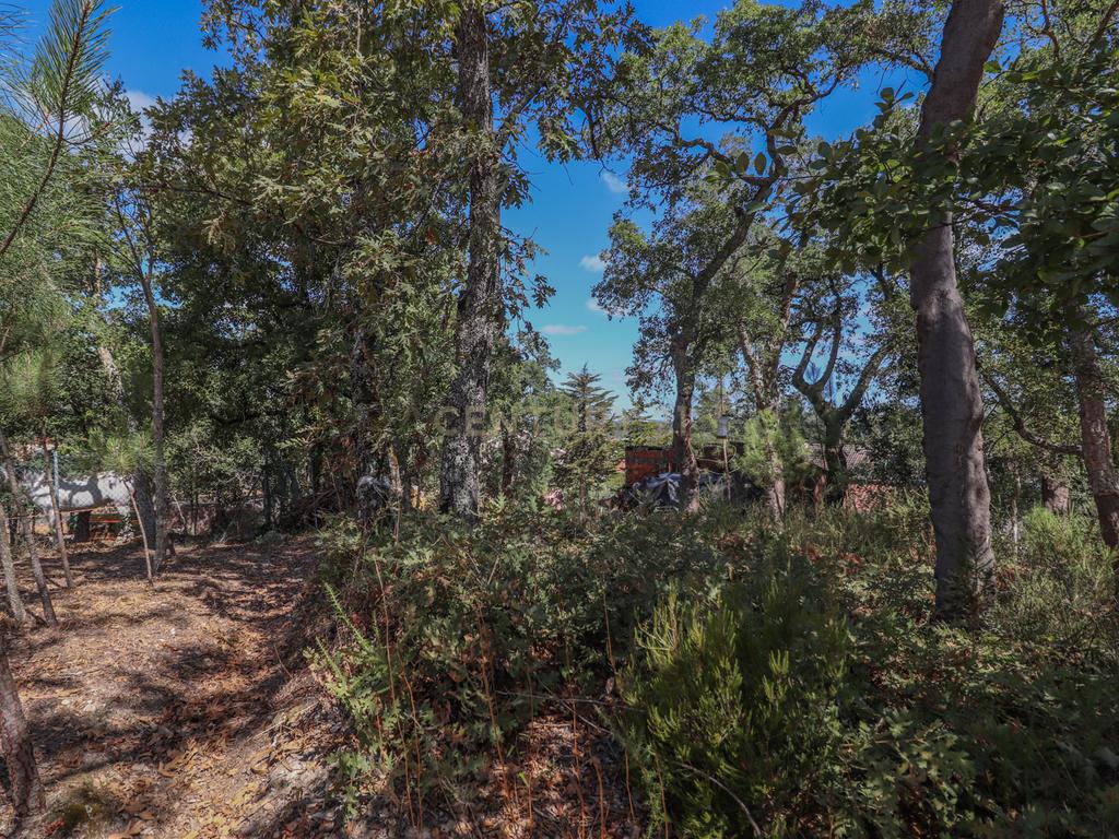 Oficina e anexo para habitação com terreno, em Ansião - Image 35