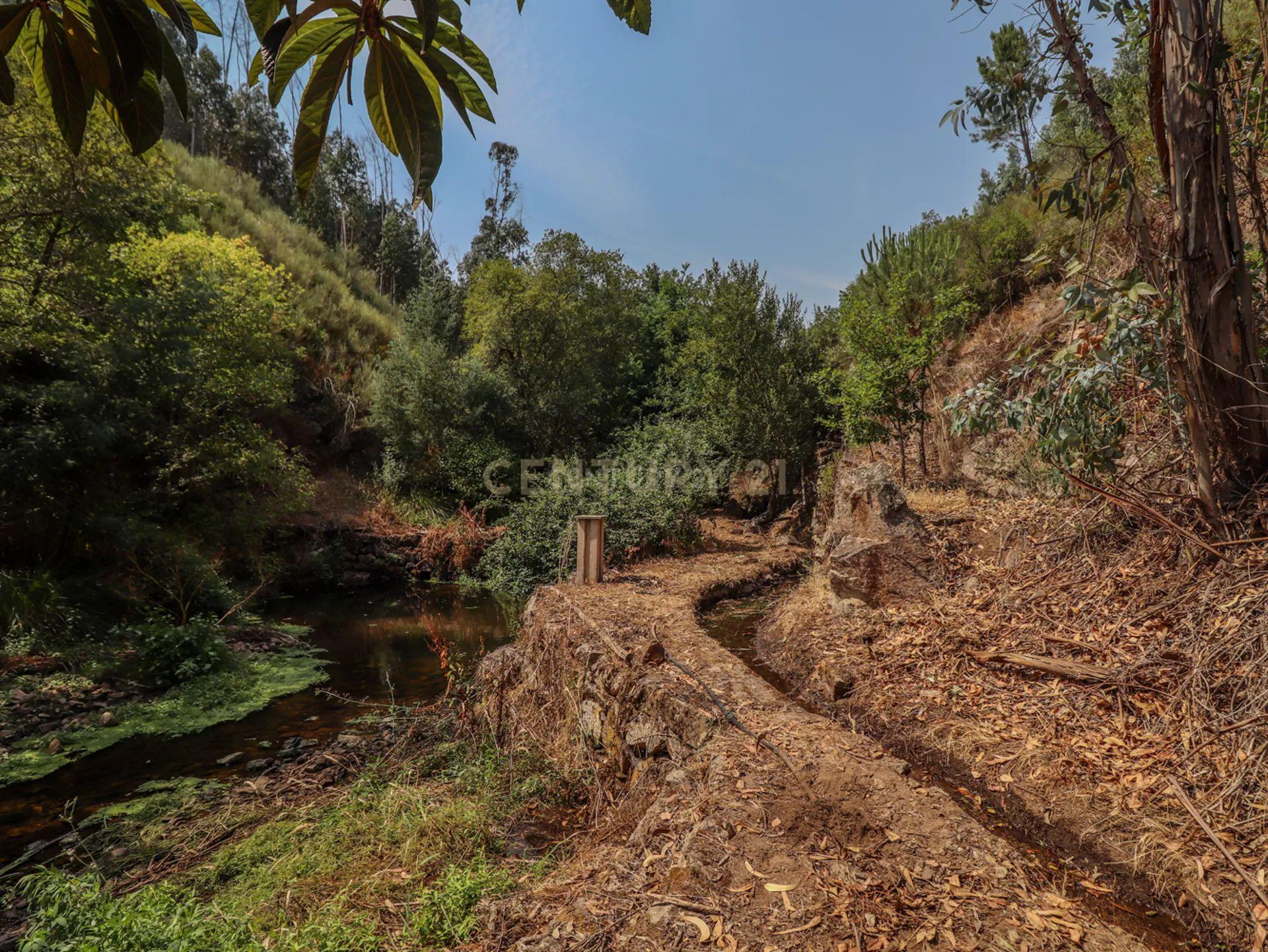 Moradias Rusticas | Terreno 7000m2 | Bouça | Pedrogão Grande - Image 37