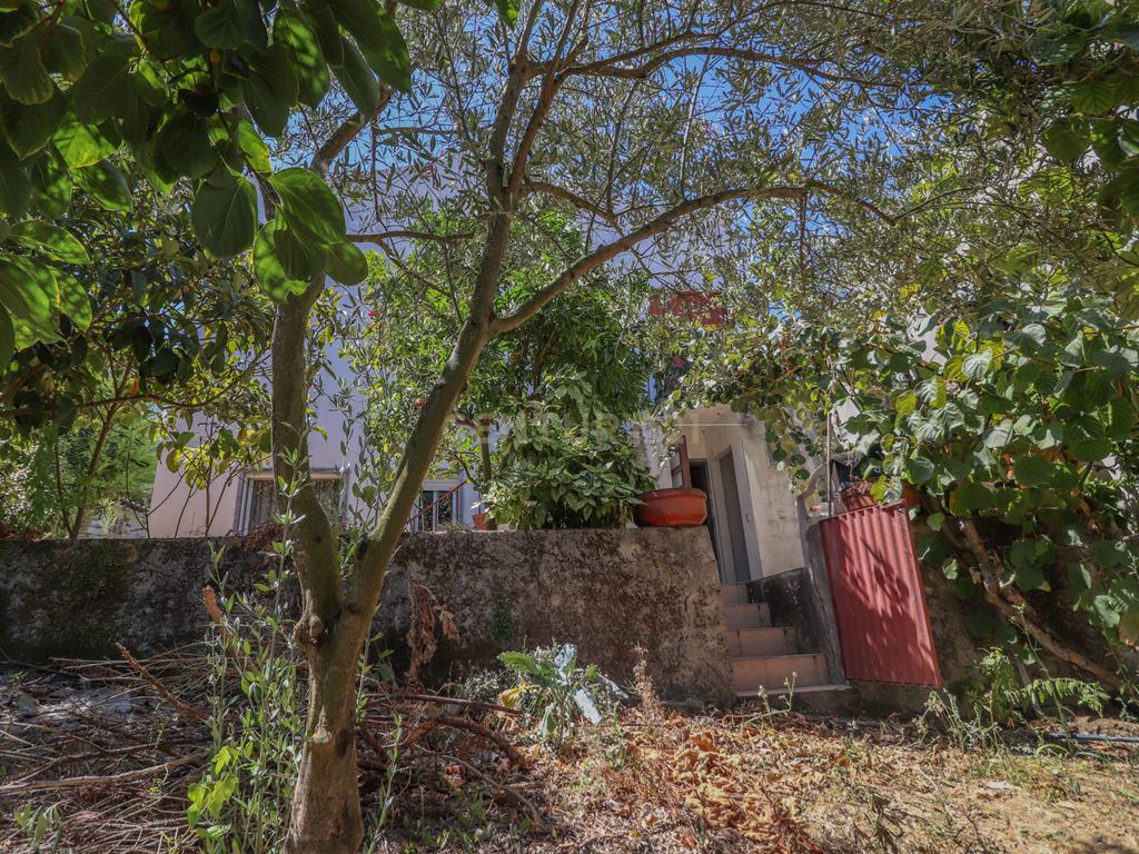 Oficina e anexo para habitação com terreno, em Ansião - Image 26