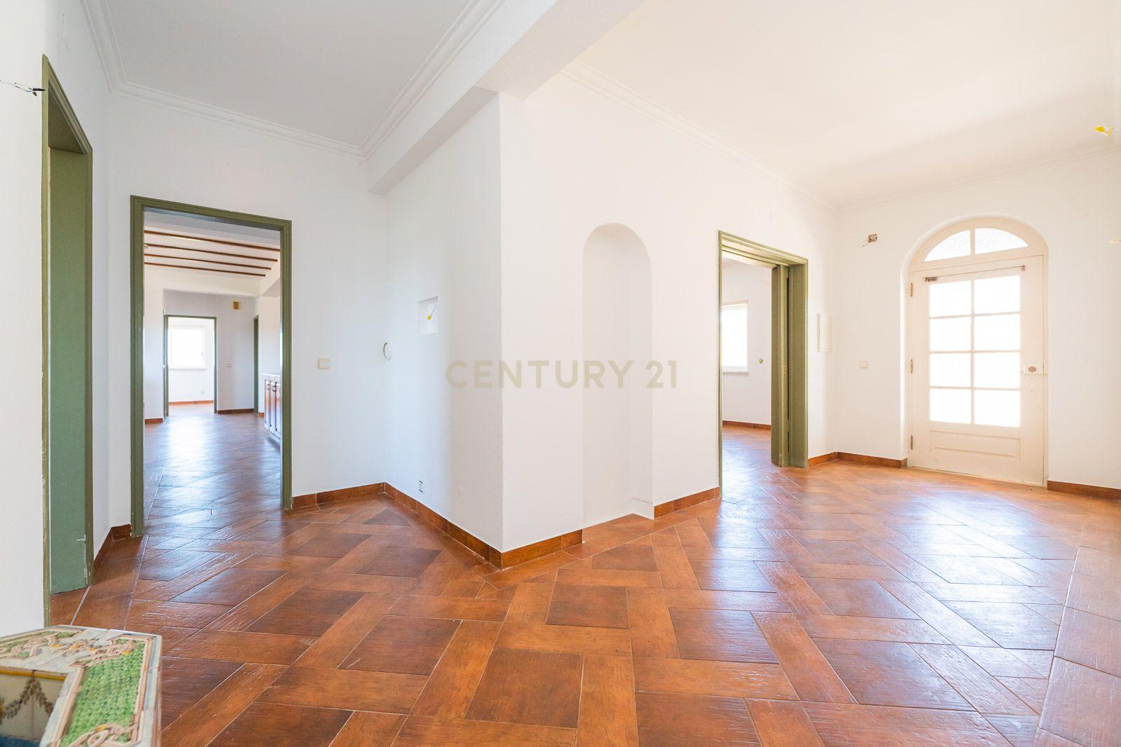 Quinta com 2 Moradias e Moinho com 3.412m2 em Monte Bom - Santo Isidoro - Image 14