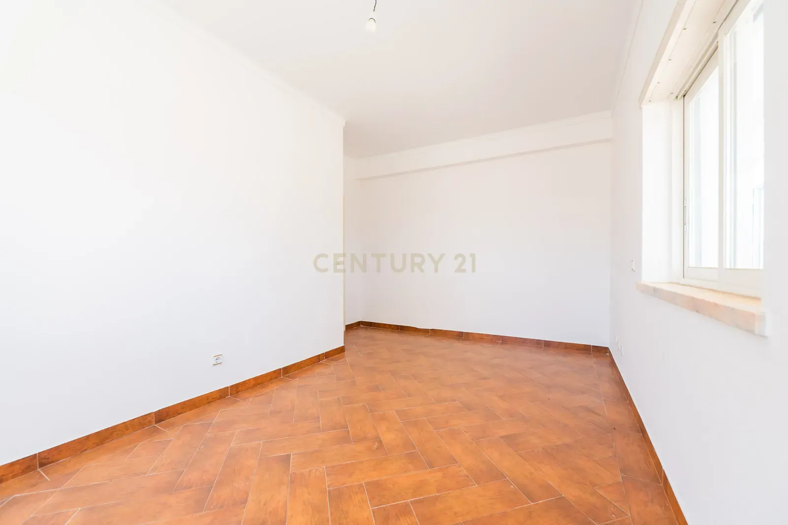 Quinta com 2 Moradias e Moinho com 3.412m2 em Monte Bom - Santo Isidoro - Image 23