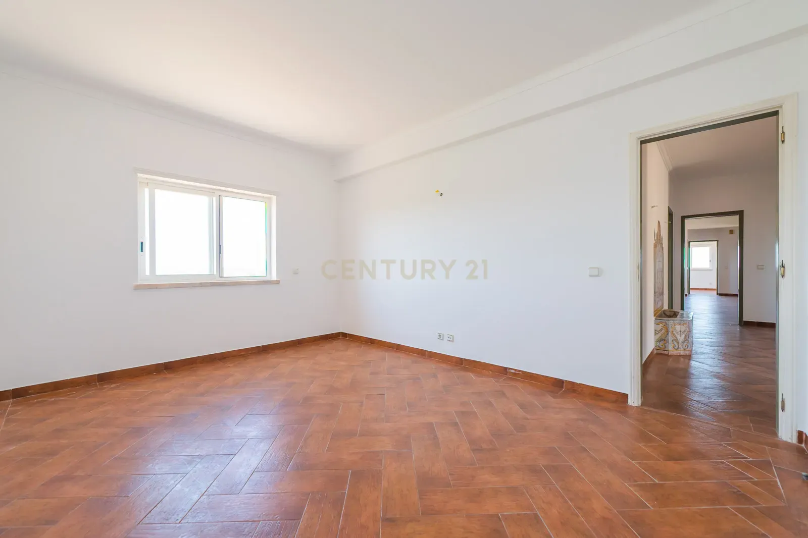 Quinta com 2 Moradias e Moinho com 3.412m2 em Monte Bom - Santo Isidoro - Image 21