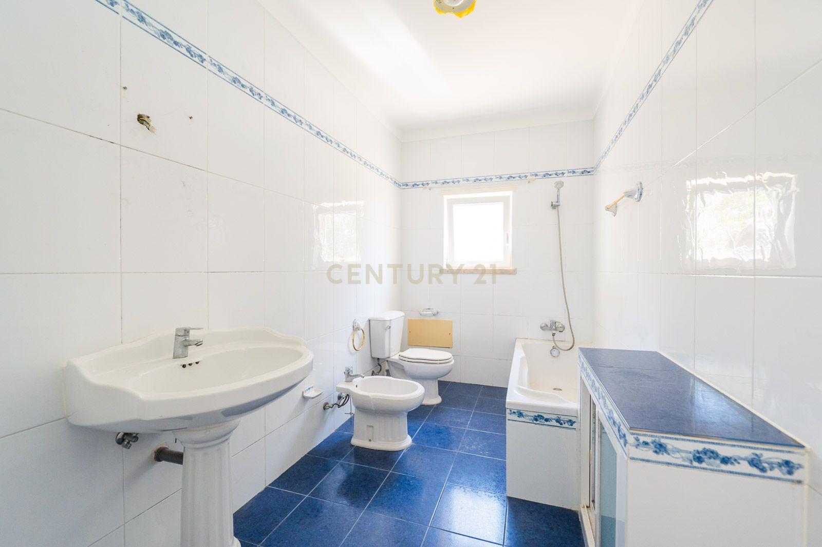 Quinta com 2 Moradias e Moinho com 3.412m2 em Monte Bom - Santo Isidoro - Image 22