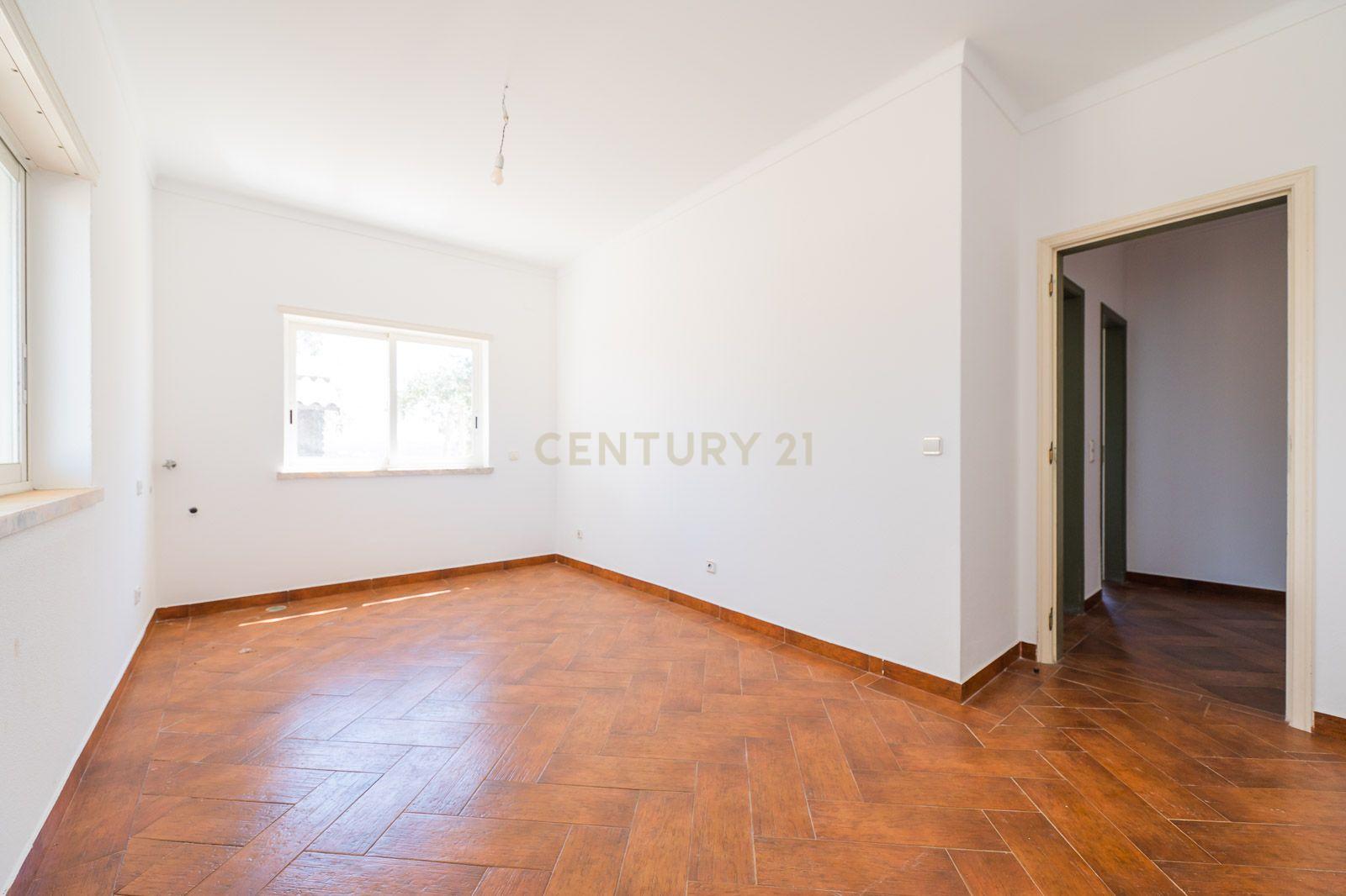 Quinta com 2 Moradias e Moinho com 3.412m2 em Monte Bom - Santo Isidoro - Image 25