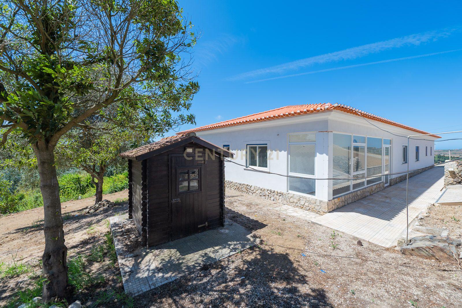 Quinta com 2 Moradias e Moinho com 3.412m2 em Monte Bom - Santo Isidoro - Image 37
