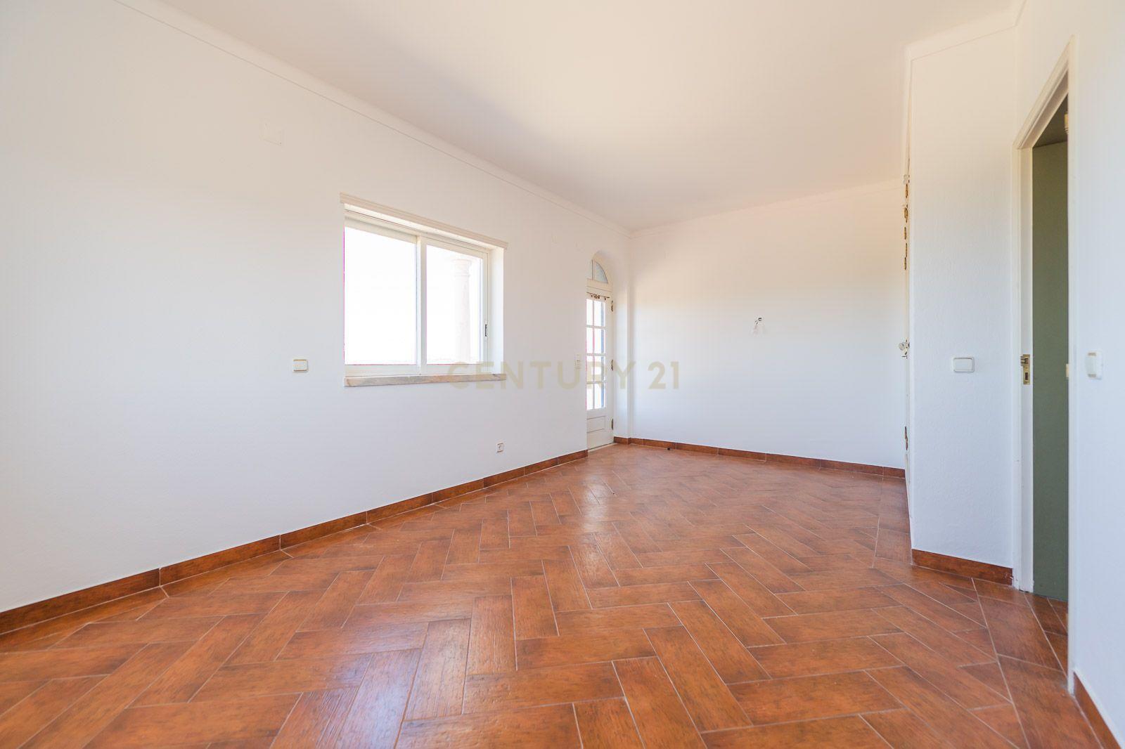 Quinta com 2 Moradias e Moinho com 3.412m2 em Monte Bom - Santo Isidoro - Image 26