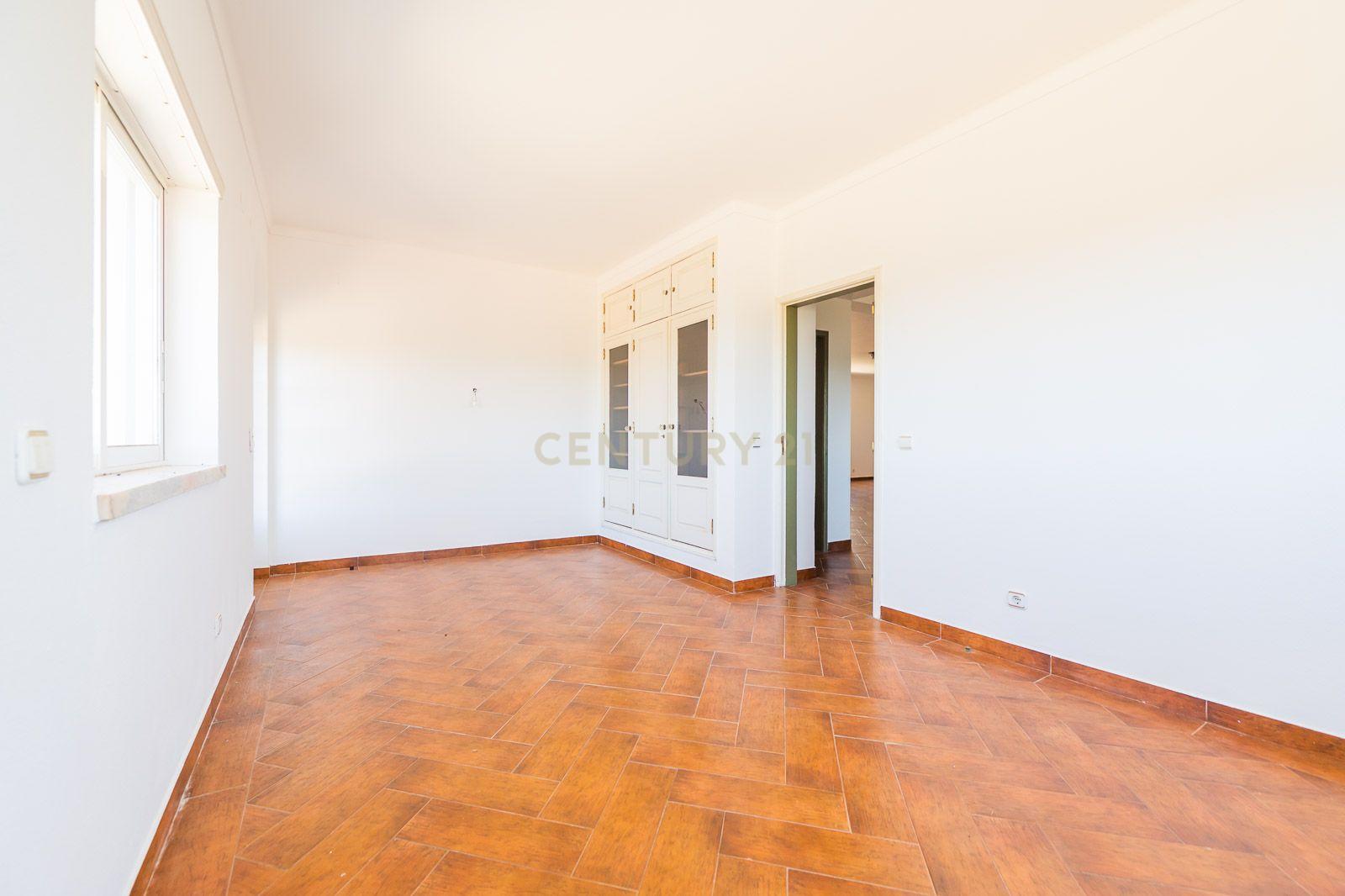 Quinta com 2 Moradias e Moinho com 3.412m2 em Monte Bom - Santo Isidoro - Image 27