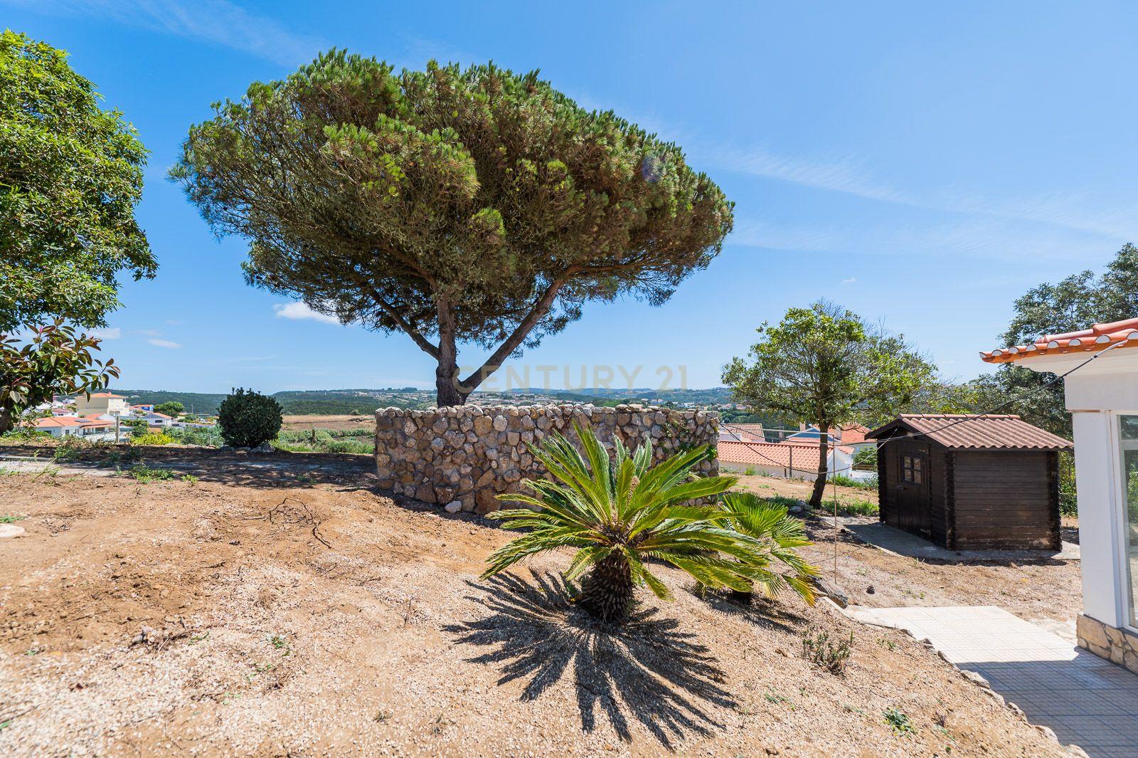Quinta com 2 Moradias e Moinho com 3.412m2 em Monte Bom - Santo Isidoro - Image 36