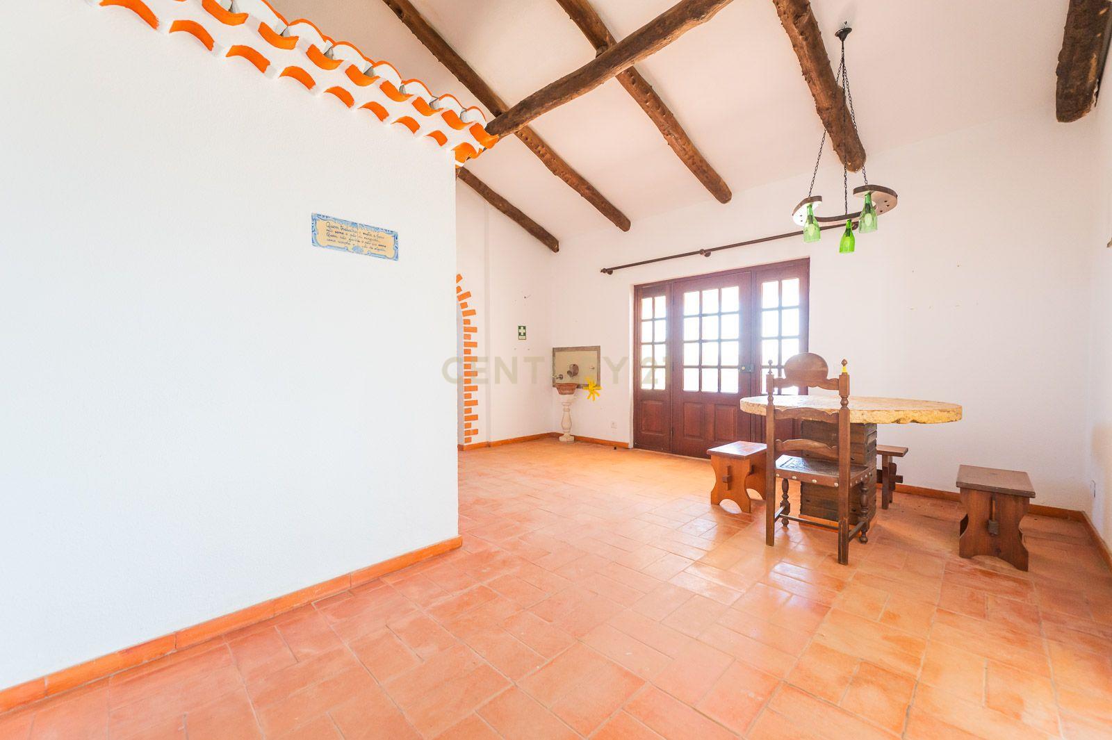 Quinta com 2 Moradias e Moinho com 3.412m2 em Monte Bom - Santo Isidoro - Image 47