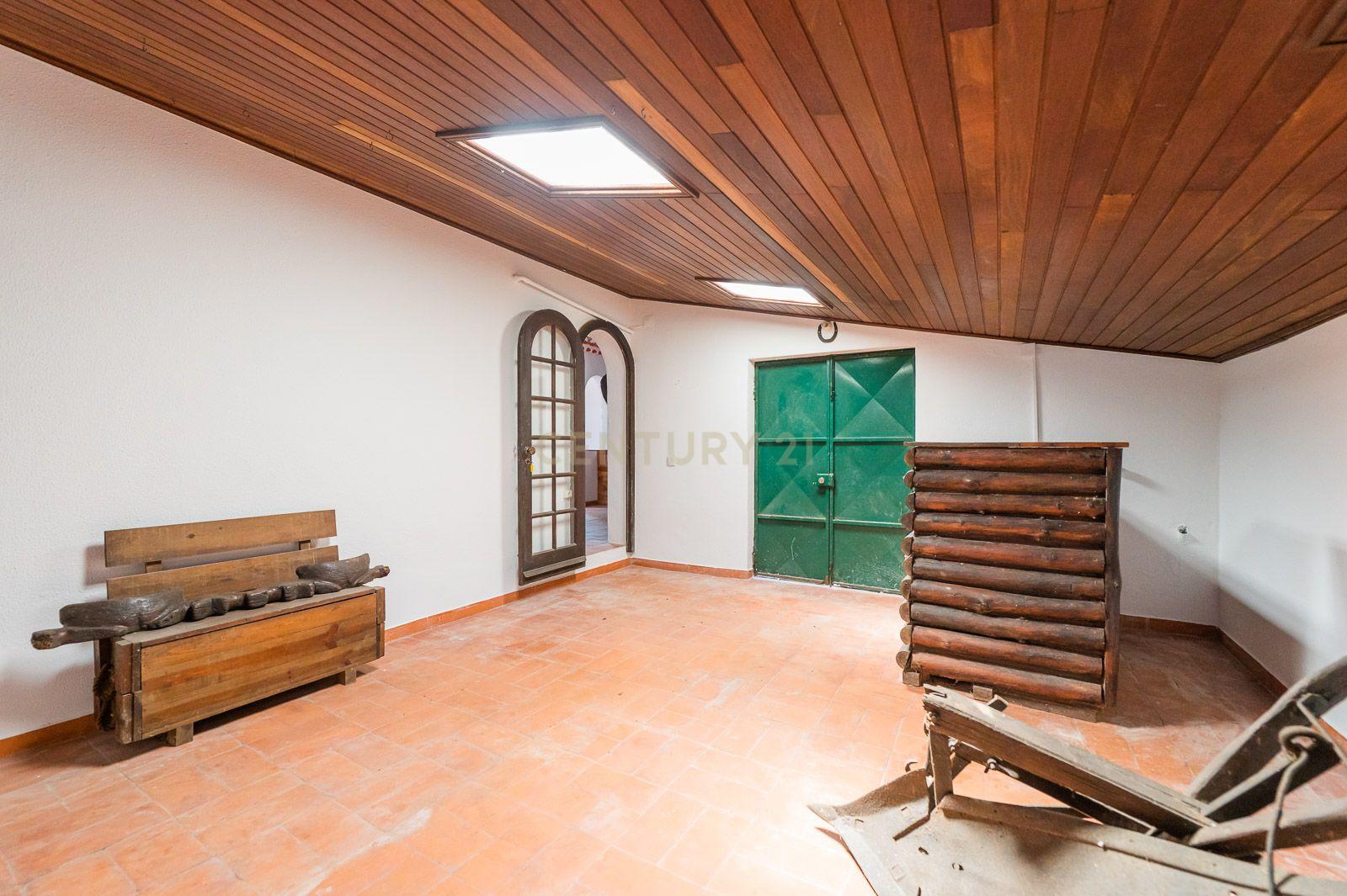 Quinta com 2 Moradias e Moinho com 3.412m2 em Monte Bom - Santo Isidoro - Image 59