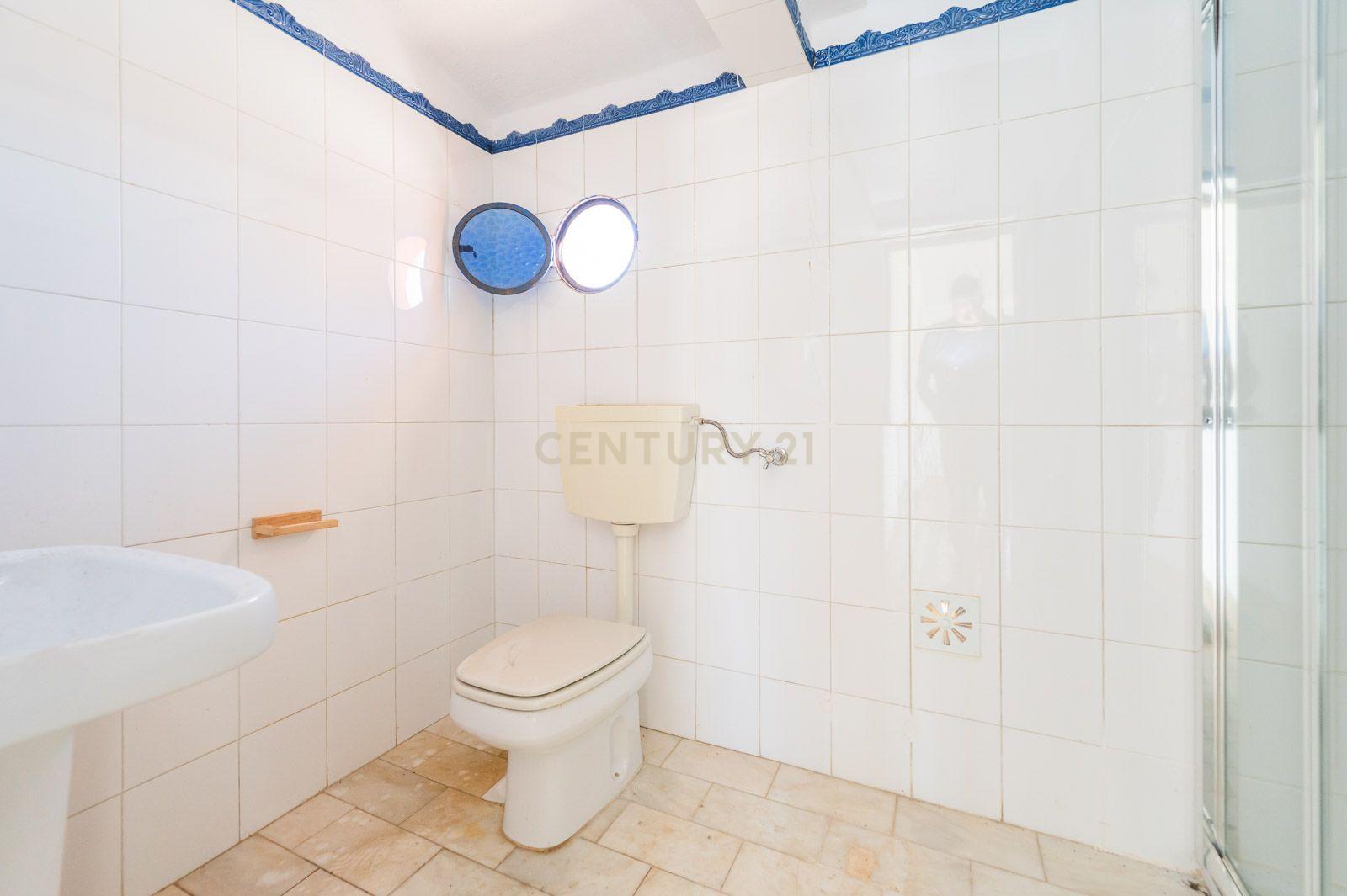 Quinta com 2 Moradias e Moinho com 3.412m2 em Monte Bom - Santo Isidoro - Image 55
